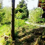 Ortho Hideaway With Garden Bertogne