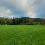 Dağ evi Ortho Hideaway With Garden Bertogne