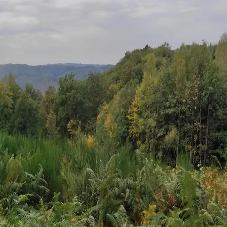 Dağ evi Ortho Hideaway With Garden Bertogne